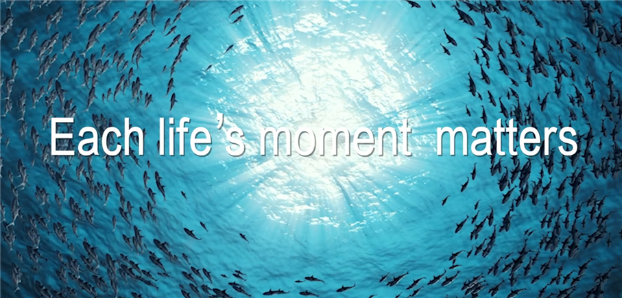 Bìa video quảng cáo 907.jpg