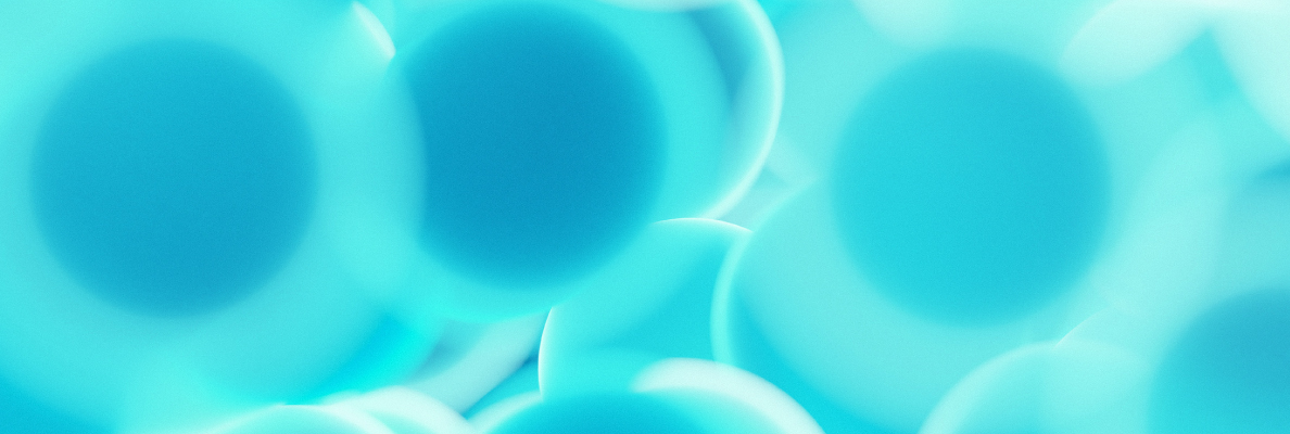 2025 website_ banner trang mục 08.jpg
