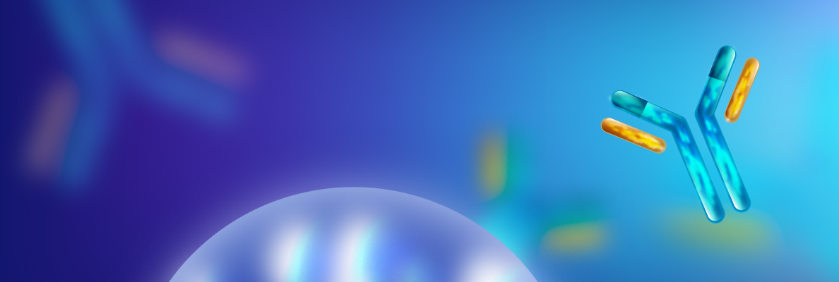Trang web 2025 _ banner trang mục 10.jpg